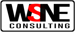 WSNE Consulting Pvt Ltd